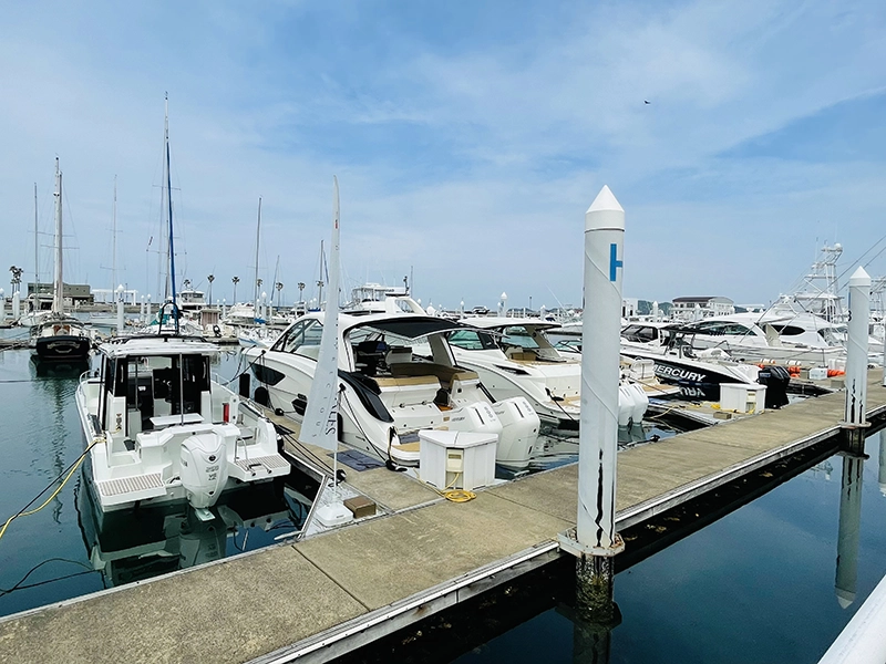 プレミアムボートショー2025